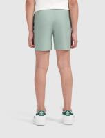 Ballin_zwemshort_groen__Groen_Ballin_3