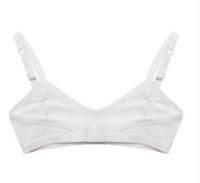 Claesens_BH_wit_Wit_Claesens_1