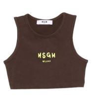MSGM_cropped_top_Bruin_MSGM