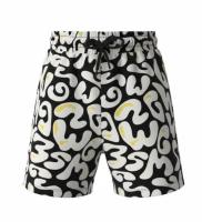 MSGM_short_Multi_MSGM_2