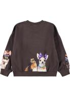 Molo_sweater_Maxi_Bruin_Molo_1