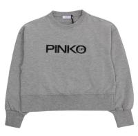 Pinko_Sweater_Grijs_Grijs_Pinko