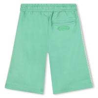 Short_Groen_Lanvin_1