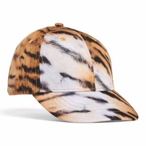 Molo_pet_Shade_Multi_Molo